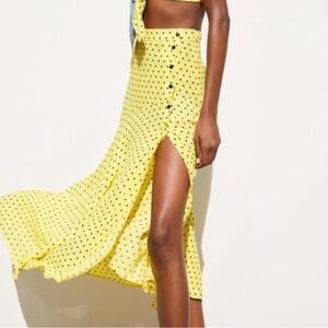Zara Polka Dot Skirt